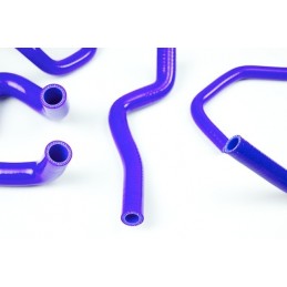 Kit di tubi flessibili in silicone RENAULT CLIO 16s e WILLIAMS