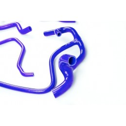 Kit di tubi flessibili in silicone RENAULT CLIO 16s e WILLIAMS