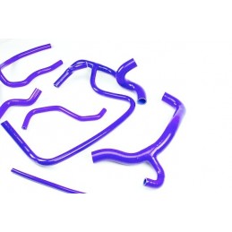 Kit di tubi flessibili in silicone RENAULT CLIO 16s e WILLIAMS