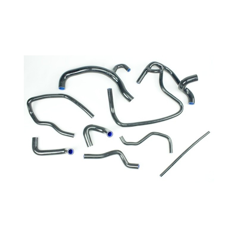 Kit di tubi flessibili in silicone RENAULT CLIO 16s e WILLIAMS