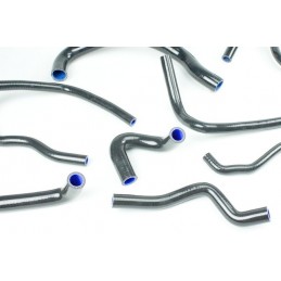 Kit di tubi flessibili in silicone RENAULT CLIO 16s e WILLIAMS