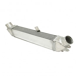 Echangeur aluminium frontal pour R21 2L Turbo