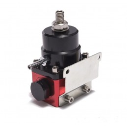 Regulateur de pression d'essence et kit durites aviation