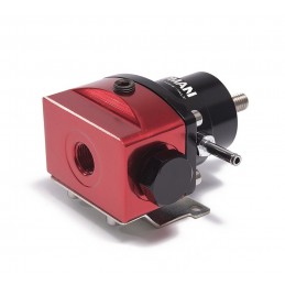 Regulateur de pression d'essence et kit durites aviation